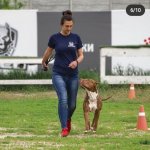 Охрана владельца, охрана вещи, охрана территории, охрана ребенка
