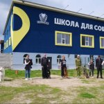 Площадка собак, занятие  с собаками, социализация собаки, кинолог.