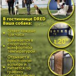 Гостиница для собака, передержка собак разных пород, комфорт для Вашей собаки.