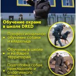 Подготовка служебных и охранных собак, защита дома, охрана територии.
