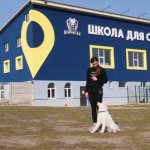 Площадка собак, занятие  с собаками, социализация собаки, кинолог.