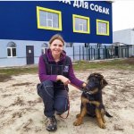 Школа для собак, обучения собак, кинолог, кинология