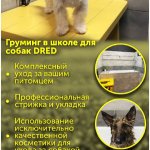 Груминг собак, стрижка любой сложности, стрижка когтей собак, экспресс линька.