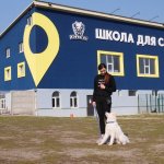 Школа для собак , обучения собак.