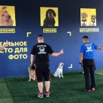 Дрессировочная площадка
