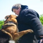 Дрессировочный центр Дред на работе по прикладной дрессировке в Болгарии Работа по прикладной дрессировки в Болгарии 2015