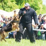 Работа по прикладной дрессировки в Болгарии 2015 Дрессировочный центр Дред на работе по прикладной дрессировке в Болгарии