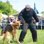Работа по прикладной дрессировки в Болгарии 2015 Дрессировочный центр Дред на работе по прикладной дрессировке в Болгарии