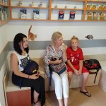 ветклиника в Ирпене Ворзеле Буче Гостомеле ветклиника в Ирпене Ворзеле Буче Гостомеле